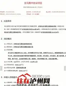 SEO服务合同书——专业优化方案，助力网站排名攀升，seo服务商