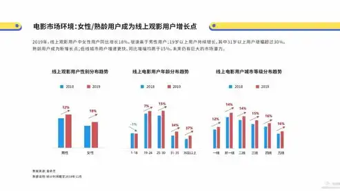 网站数据分析，深入挖掘用户行为，助力企业精准营销，网站数据分析案例分析题