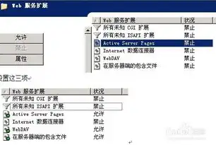 深入解析ASP服务器与WDGPC管理系统的协同应用，服务器租用