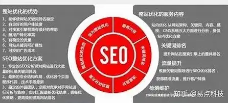 深度解析，SEO网站案例实战，揭秘优化策略与效果，seo分析网站案例