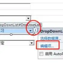 深入解析ASP.NET服务器端控件，原理与应用，aspnet服务器控件位于什么命名空间