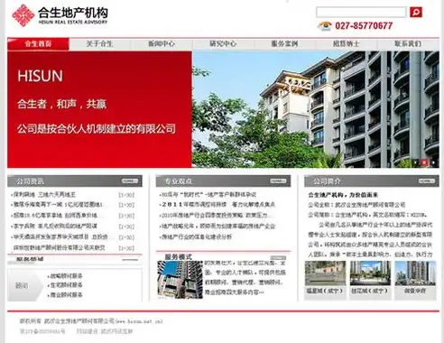 专业网站建设公司，打造品牌影响力的最佳合作伙伴，网站建设专业公司哪家好