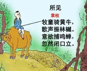 岁月如歌，描绘人生变迁的五个关键词，形容变化的关键词有哪些