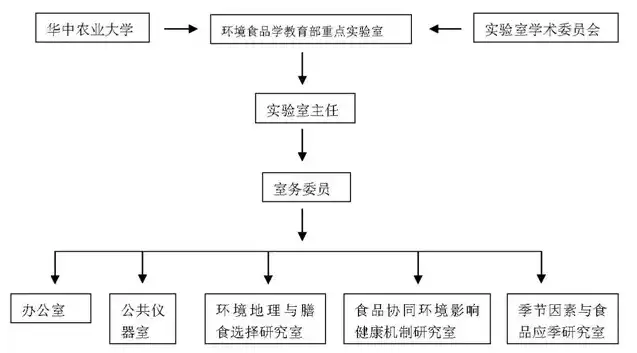 构建现代实验室安全组织管理模式，策略与实施路径探析，实验室安全组织管理模式包括