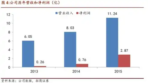 深度解析福州SEO公司，揭秘本地化营销策略与优势，福州seo公司哪家好