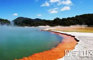 黄石旅游攻略，探索黄石美景，体验地热奇观，关键词 推广