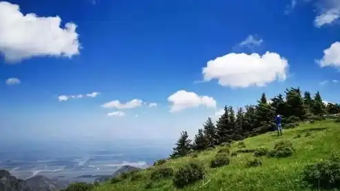 探秘阿拉善盟，沙漠中的绿洲，天然氧吧的旅游胜地，阿拉善盟投资促进中心