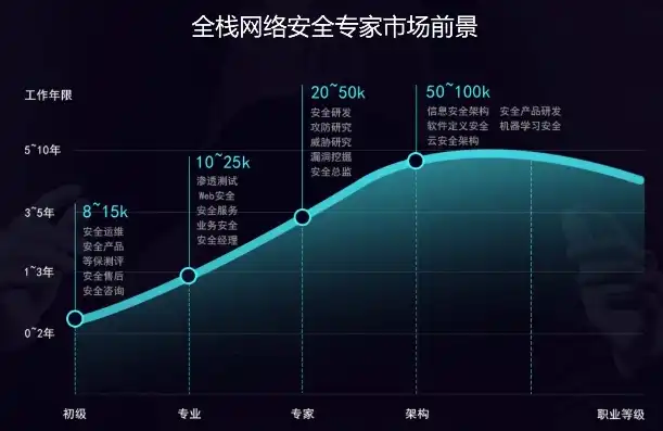 网络安全审计专业，揭秘就业前景与职业发展路径，网络安全审计有