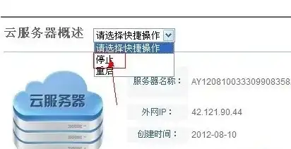 阿里云服务器重启操作指南，高效解决服务器问题，保障业务稳定运行，阿里云服务器可以重启吗