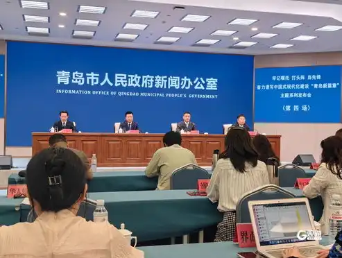 专业网站开发，构建高效、创新的在线平台之路，专业网站开发官网