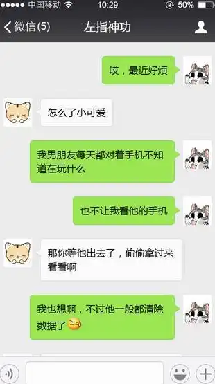 揭秘整形网站源码，深入了解行业背后的技术奥秘，整形网站源码是什么