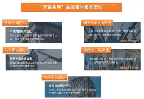 专业打造个性化体验，揭秘网站定制公司的核心优势，网站定制的公司有哪些