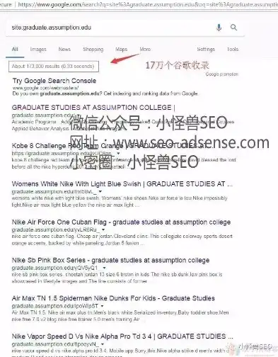 打造外贸双语网站，源码揭秘与实战技巧分享，外贸双语网站源码查询