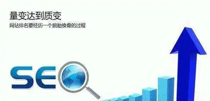 SEO快速排名秘诀，如何一星25完美实现网站火速崛起