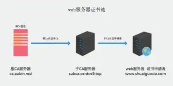 深入解析CA服务器，数字时代的信任基石，cac服务器