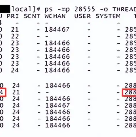 Java服务器主机，性能卓越、安全稳定的现代企业级解决方案，java 服务器