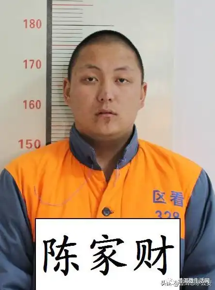 揭秘网络huang色网站，背后的黑暗与危害