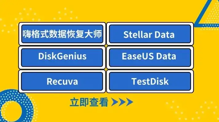 比特U盘数据恢复软件，免费与付费的对比及选择指南，比特u盘数据恢复软件是免费的吗