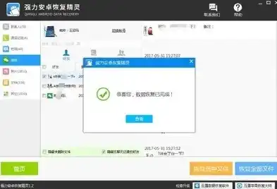 深度剖析，数据恢复精灵软件——靠谱与否，揭秘其真实效果与使用技巧，数据恢复精灵官网下载