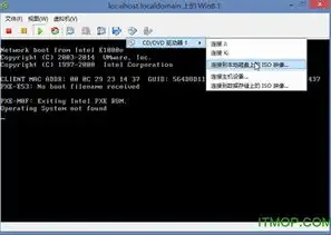 深入剖析，Windows 10虚拟机与ESXi技术的全面对比解析，虚拟机和windows