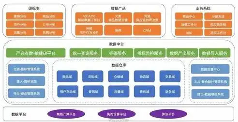 揭秘大数据采集，全面解析各类数据类型及其应用场景，大数据采集的数据类型有哪些呢