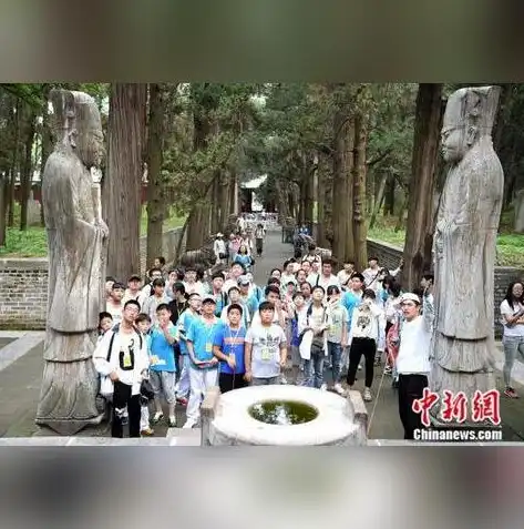 穿越时空的艺术之旅，探索创意网站设计的无限可能，创意网站设计模板