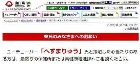 揭秘网站敏感关键词，如何避免违规与风险？