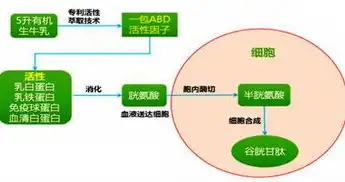 深入解析，资源利用率的概念及其重要性，什么叫资源利用率的概念和意义