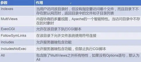 深入解析服务器放置网站的关键因素及优化策略，服务器放网站会卡吗