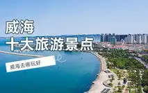 临沂网站，解锁城市魅力，畅游信息海洋，临沂网站建设的概述