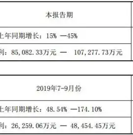 自建DNS服务器实现万维网域名精准指向，助力企业网络优化，万维网域名注册步骤