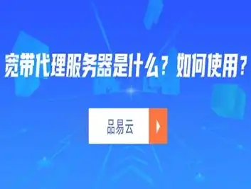 四川高防服务器，守护您的网络安全，助力企业稳健发展，国内高防服务器哪个好