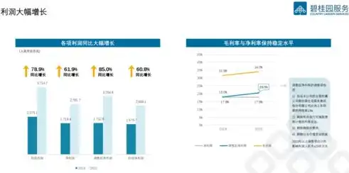 网站建设成本揭秘，影响价格的关键因素及预算规划，鄱阳网站建设多少钱