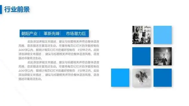 探索创新之美，创意网站设计案例深度解析，网站设计案例ppt