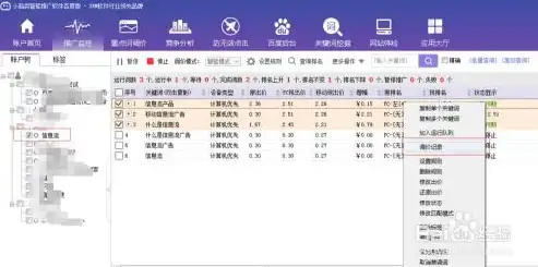 揭秘廊坊百度关键词价格，优化策略与成本分析，百度关键词价格排名