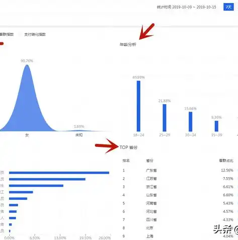 揭秘专业百度关键词推广策略，精准定位，助力企业高效引流，百度关键词推广效果怎么样