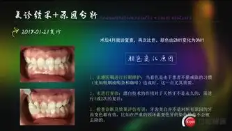 牙科医院网站源码揭秘，专业与美学的完美融合，牙科医院网站设计