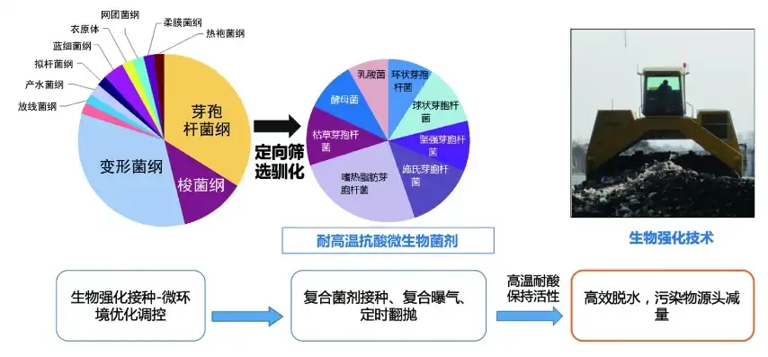 揭秘垃圾资源化处理，创新技术与方法引领环保新篇章，垃圾资源化处理的技术和方法有哪些呢