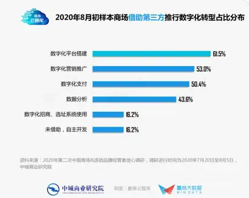 揭秘网站运营成本，深入剖析企业数字化转型中的隐形成本，网站运营成本多少钱