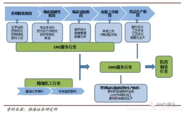 揭秘药加工网站源码，核心技术解析与优化建议，药品加工