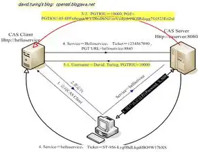 CAS单点登录中Session会清空吗？深入解析其原理及解决方案，cas单点登录如何实现一次登陆处处登陆