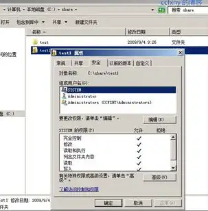 Win2008服务器网络访问保护服务未启动，排查与修复全攻略，windows server2008网络服务器配置