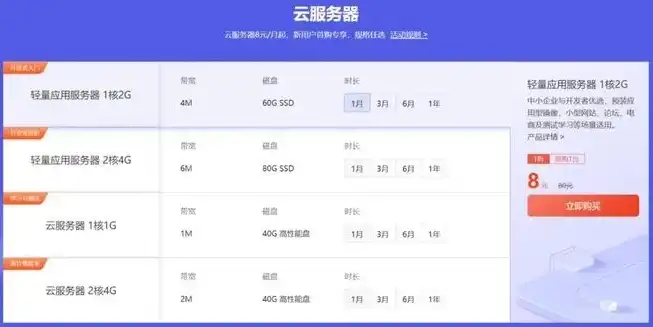 云服务器价格揭秘，性价比之选，一文带你了解云服务器费用！，云服务器多少钱一个月