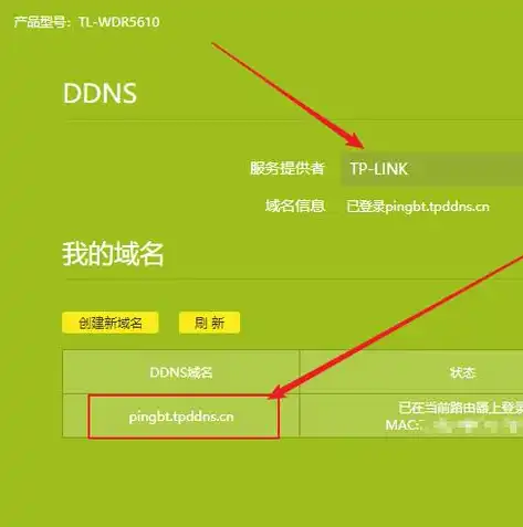 一站式DDNS服务器租用方案，轻松实现域名动态解析！，ddns费用