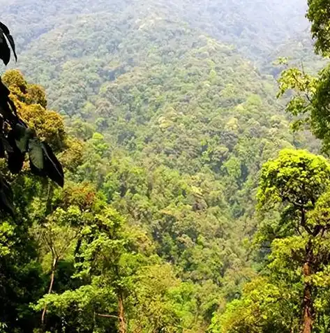 深入解析大数据处理技术的三大流派及其应用场景，写出大数据处理技术的三种类型是什么