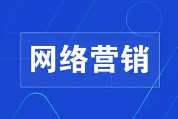 揭秘网络SEO推广公司，助力企业互联网营销新篇章，网络seo推广公司排名