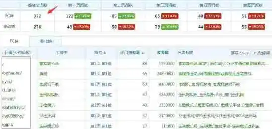 SEO设置，揭秘网站优化背后的秘密，seo指的什么