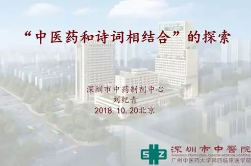 揭秘中医院网站源码，探索中医文化的数字化传承之路，中医院网站源码是什么