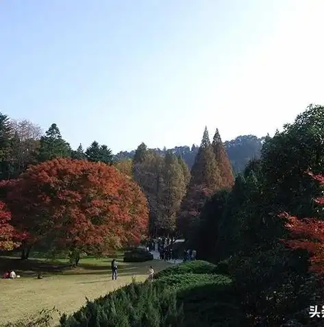 庐山网站建设，打造独特自然风光展示平台，助力庐山旅游产业发展，中国庐山网站属于什么模式