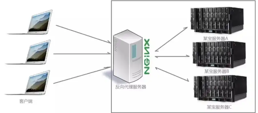 展示型网站，是否需要服务器？全面解析其背后的技术逻辑，展示型网站需要服务器吗